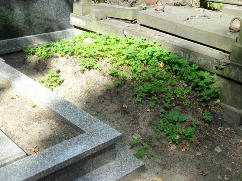 Zdjęcie grobu Pole Grobowe (1)