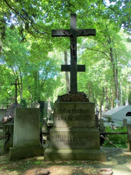 Zdjęcie grobu Franciszka Tanasiewicz (2)