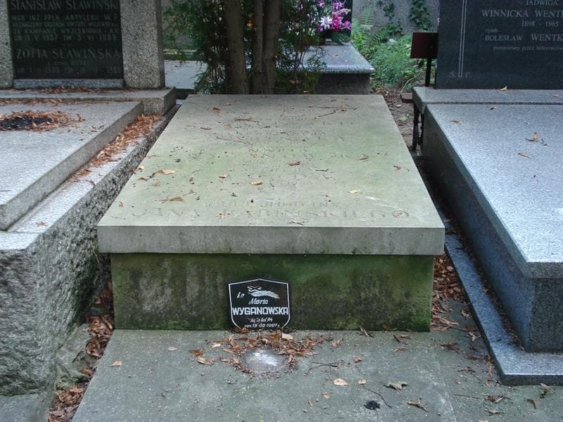 Zdjęcie grobu: Maria Wyganowska