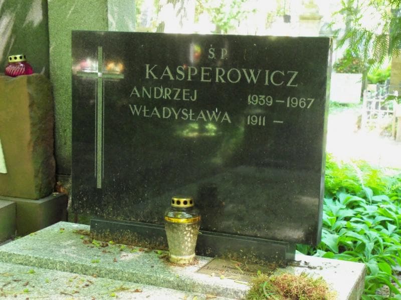 Zdjęcie grobu Władysława Vatter-Kasperowicz (2)