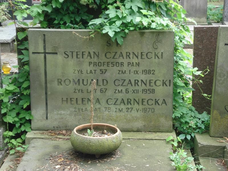 Zdjęcie grobu Stefan Czarnecki (2)