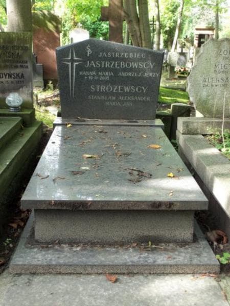 Zdjęcie grobu: Strużewscy