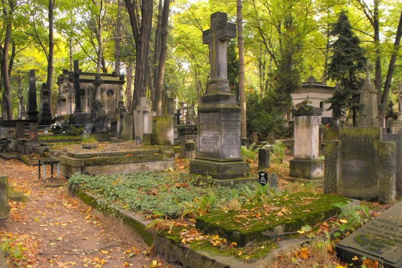 Zdjęcie grobu Maria Joanna Walicka-Wojczakowska (1)