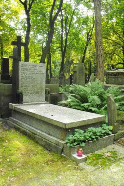 Zdjęcie grobu Michał Krysiński (1)
