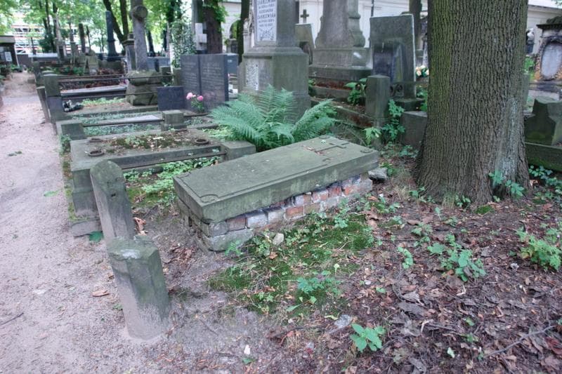 Zdjęcie grobu: Zofia Omylińska