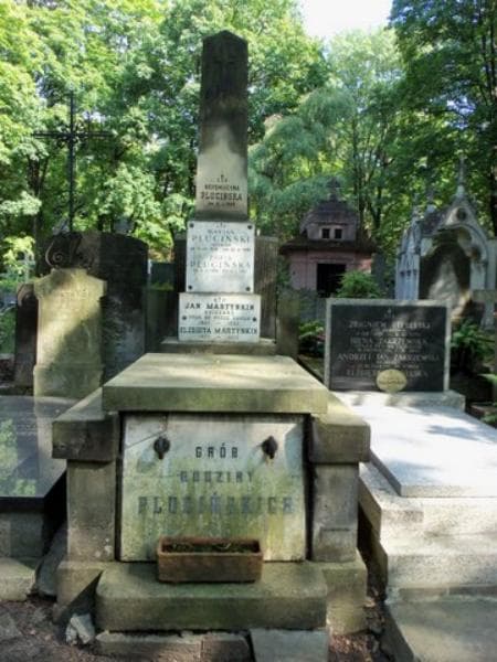Zdjęcie grobu: Nepomucyna Plucińska