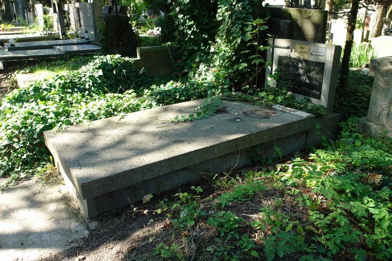 Zdjęcie grobu Stanisława Borkowska (1)