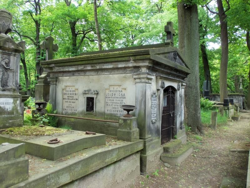 Zdjęcie grobu Emilja Burzyńska (1)