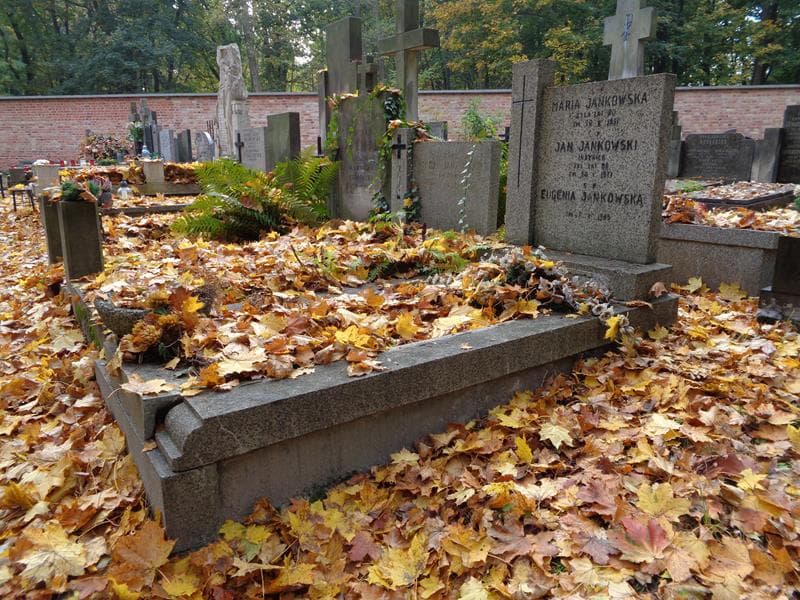 Zdjęcie grobu: Jan Jankowski