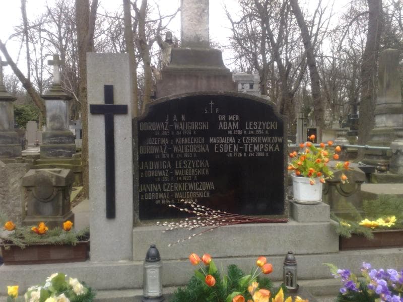 Zdjęcie grobu Adam Leszycki (2)