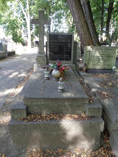 Zdjęcie grobu Ludwik Horodyński (1)