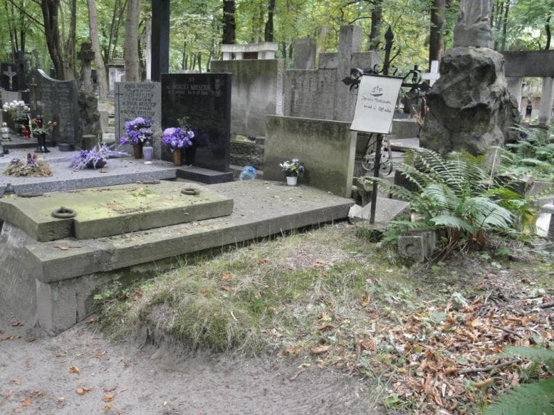 Zdjęcie grobu Ignacy Markowski (1)