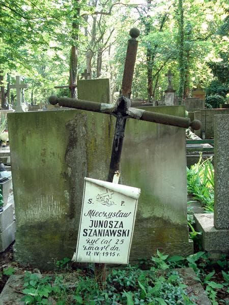Zdjęcie grobu Mieczysław Junosza Szaniawski (1)