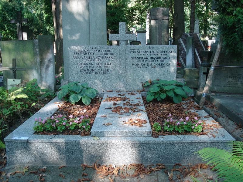Zdjęcie grobu: Stefan Długołęcki
