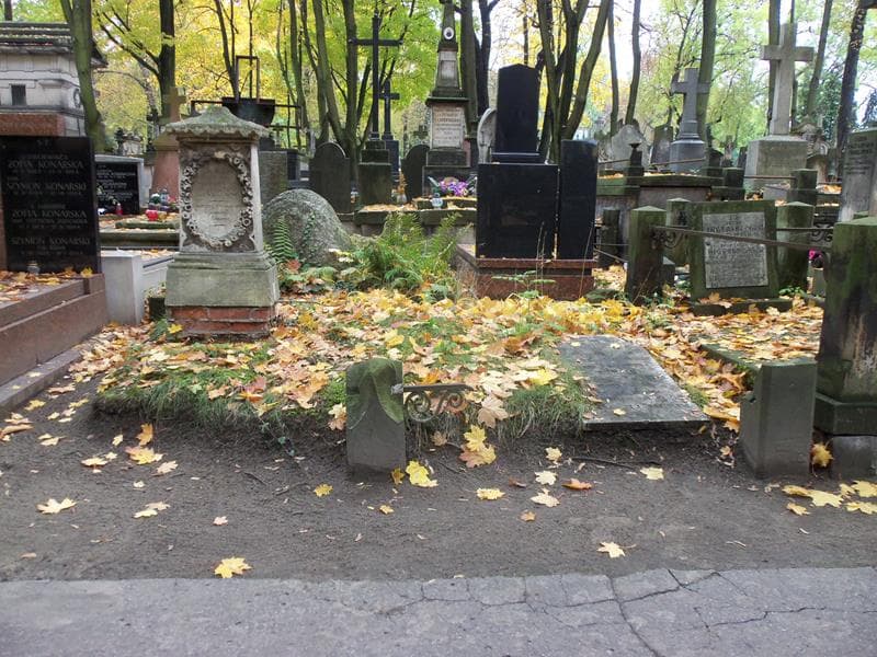 Zdjęcie grobu: Domicella Niemoiewska