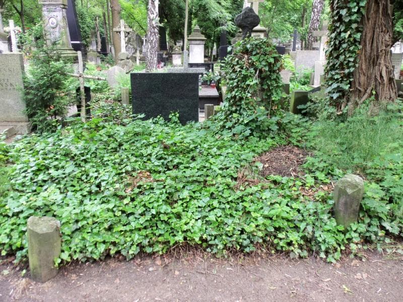 Zdjęcie grobu: Aleksander Klonowski
