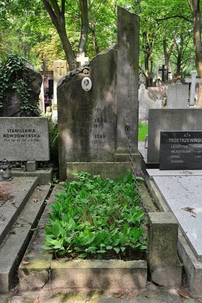 Zdjęcie grobu Zygmunt Broszkiewicz (1)