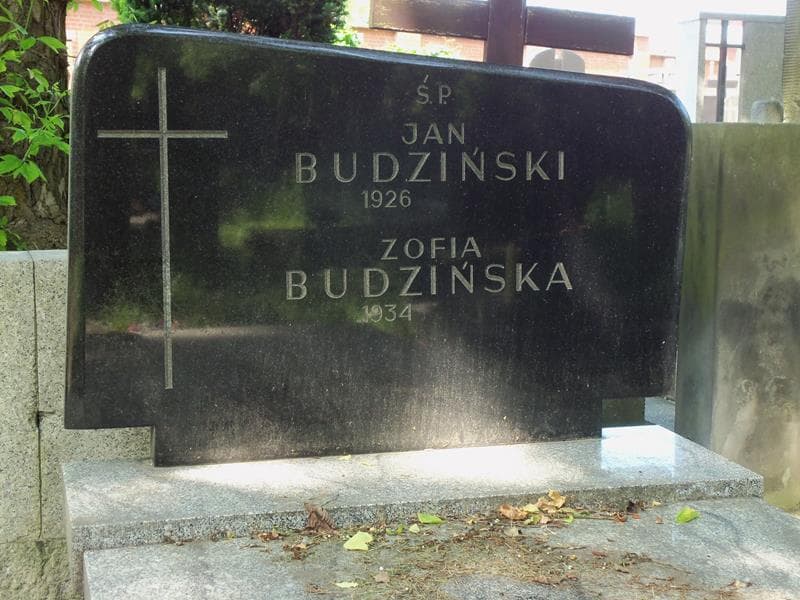 Zdjęcie grobu Budzińscy (2)