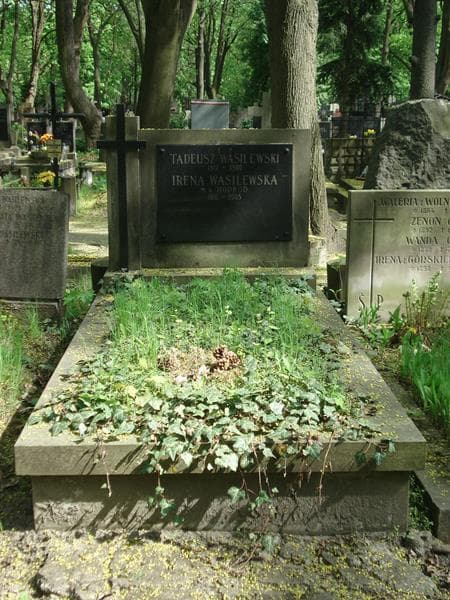 Zdjęcie grobu: Irena Wasilewska