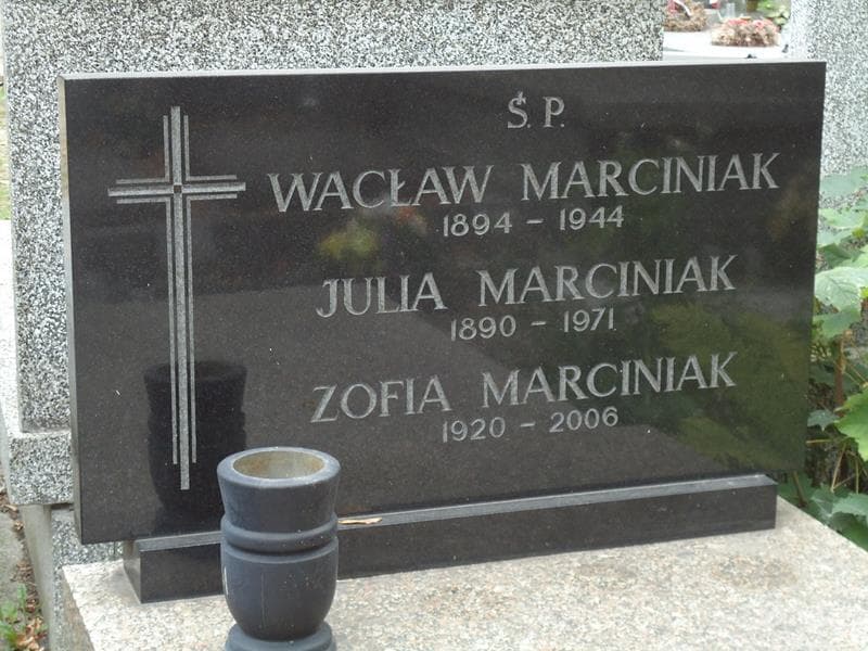 Zdjęcie grobu Wacław Marciniak (2)