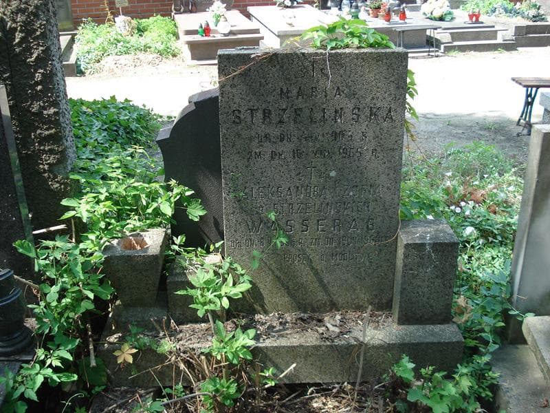 Zdjęcie grobu Maria Strzelińska (2)