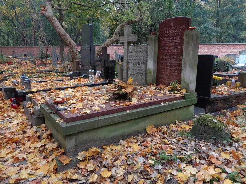 Zdjęcie grobu: Leopolda Szczepińska