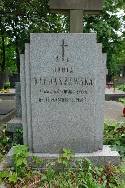 Zdjęcie grobu Jonia Klimaszewska (2)