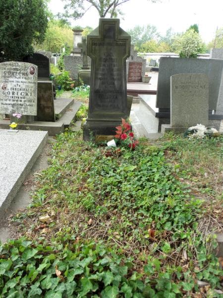 Zdjęcie grobu: Karol Górecki