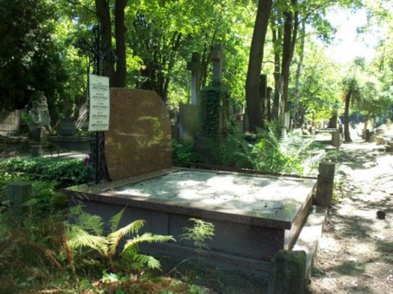 Zdjęcie grobu Julian Jarczyński (1)