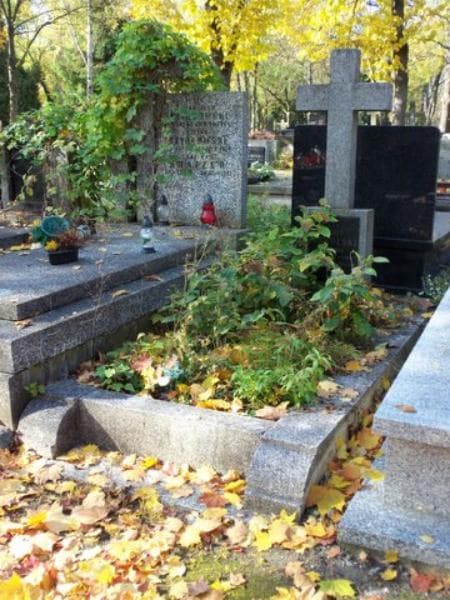 Zdjęcie grobu Józef Makólski (1)