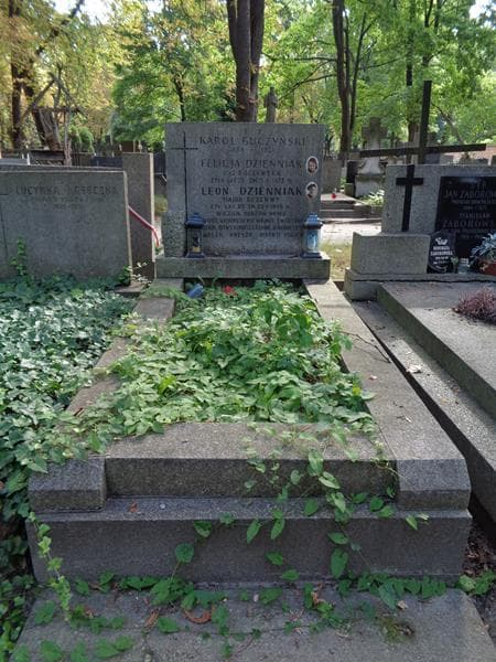 Zdjęcie grobu Karol Buczyński (1)