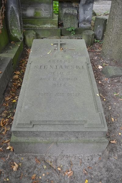 Zdjęcie grobu Antoni Sieniawski (2)