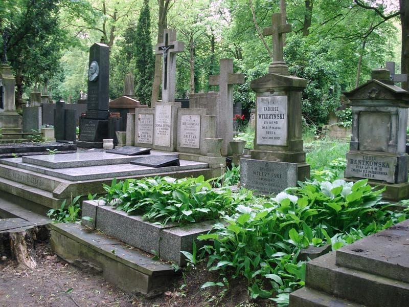 Zdjęcie grobu: Tadeusz Wyleżyński