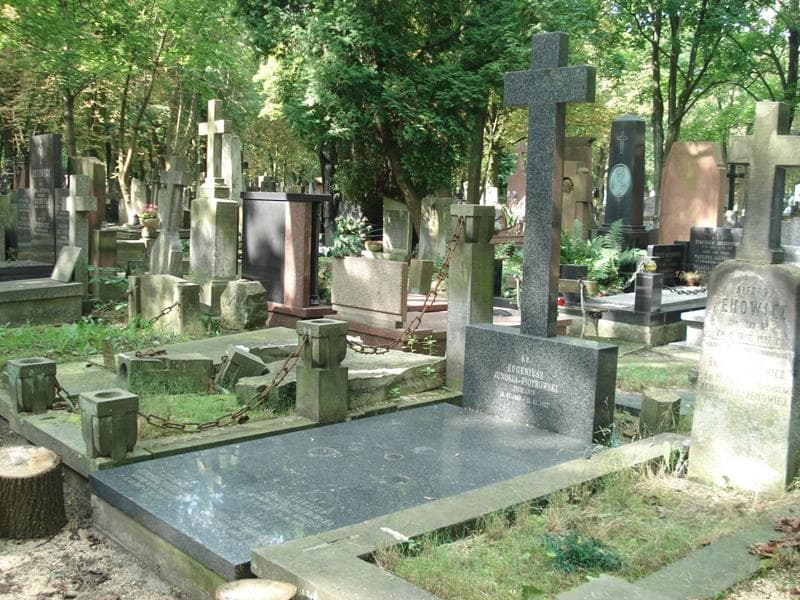 Zdjęcie grobu: Elżbieta Junosza-Piotrowska