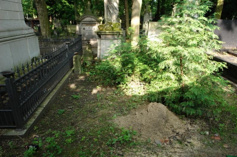 Zdjęcie grobu Pole Grobowe (1)
