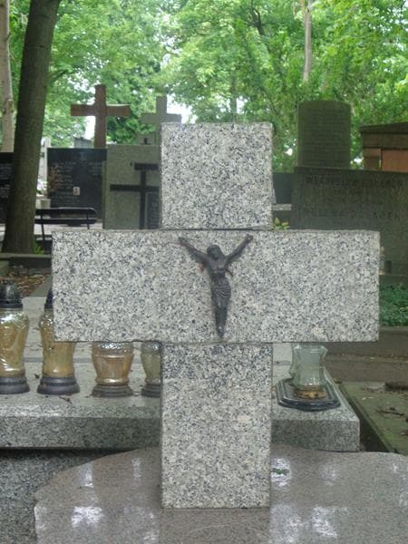 Zdjęcie grobu Bolesław Januszaniec (2)