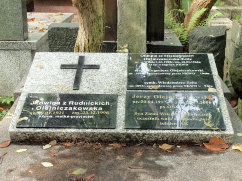 Zdjęcie grobu Jadwiga Olejniczakowska (2)