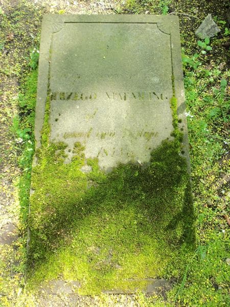 Zdjęcie grobu Jerzy Maennling (1)