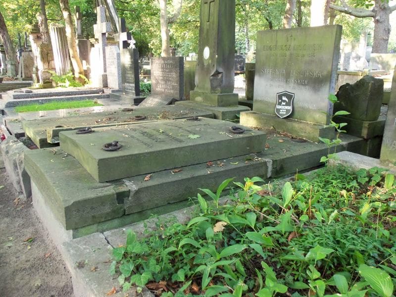 Zdjęcie grobu Stefania Lisowska (1)