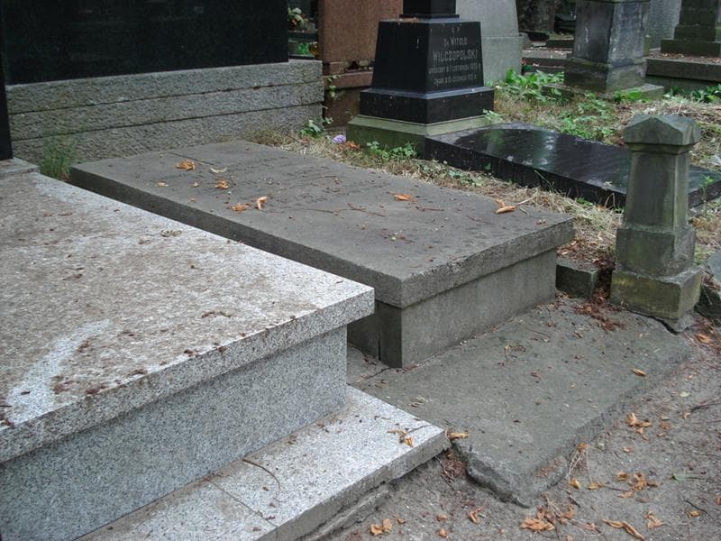Zdjęcie grobu Jerzy Hanke (2)