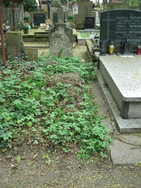 Zdjęcie grobu: Władysław Okoński