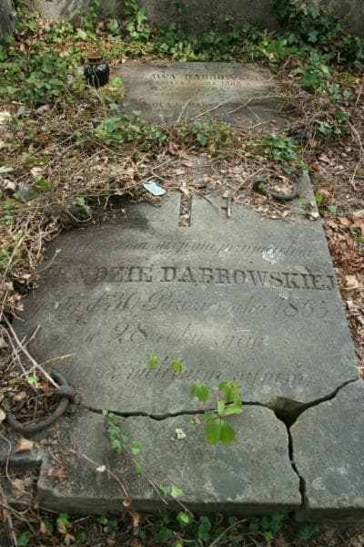 Zdjęcie grobu Bolesław Dąbrowski (1)