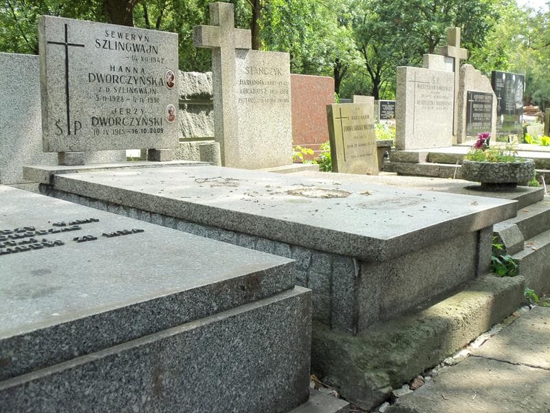 Zdjęcie grobu Seweryn Szlingwajn (1)
