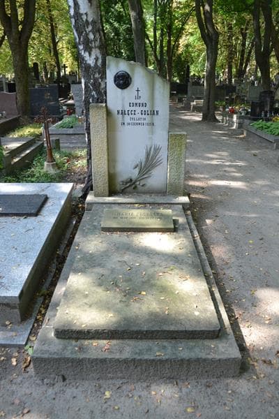 Zdjęcie grobu Edmund Nałęcz-Golian (1)