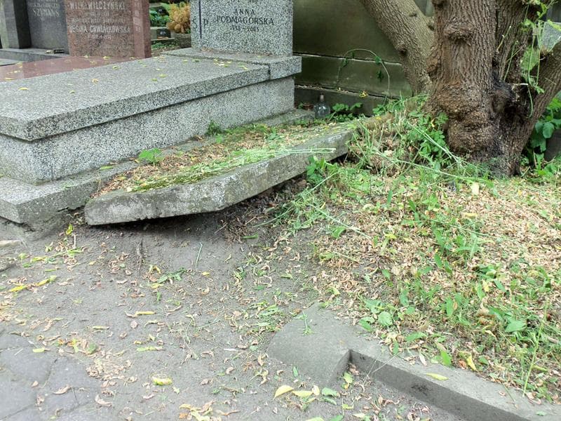 Zdjęcie grobu Anonim (2)