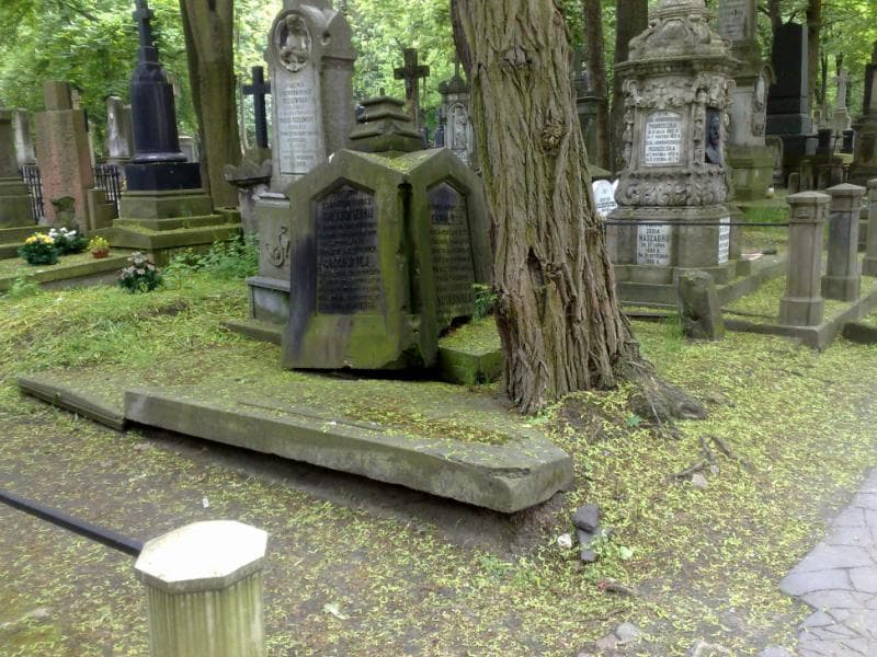 Zdjęcie grobu Emma Gościcka (2)