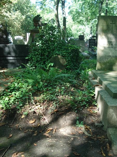 Zdjęcie grobu: Henryk Opocki