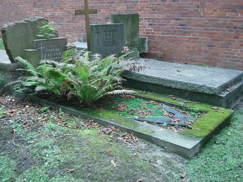 Zdjęcie grobu: Stanisław Zaczek