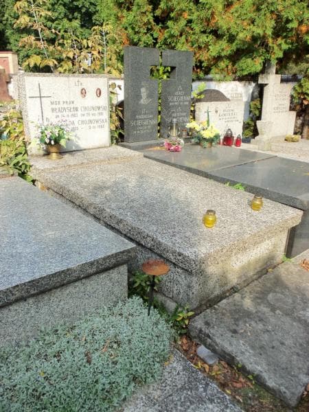 Zdjęcie grobu Władysław Chojnowski (1)