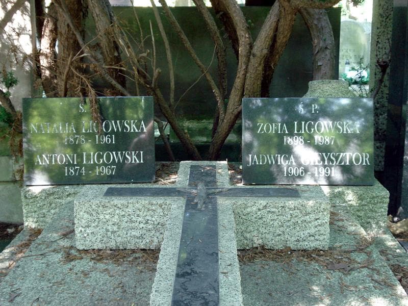 Zdjęcie grobu Zofia Ligowska (1)